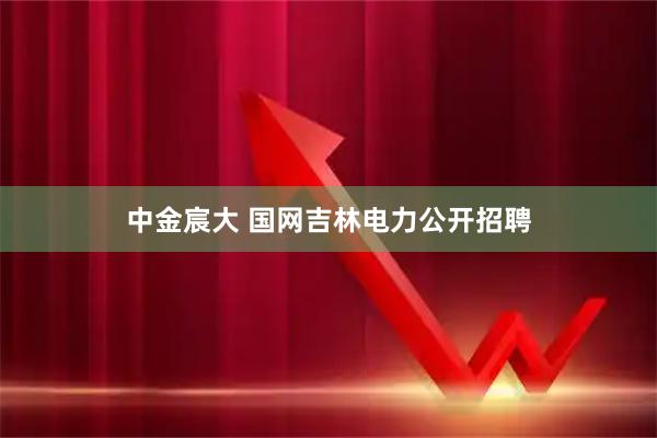 中金宸大 国网吉林电力公开招聘