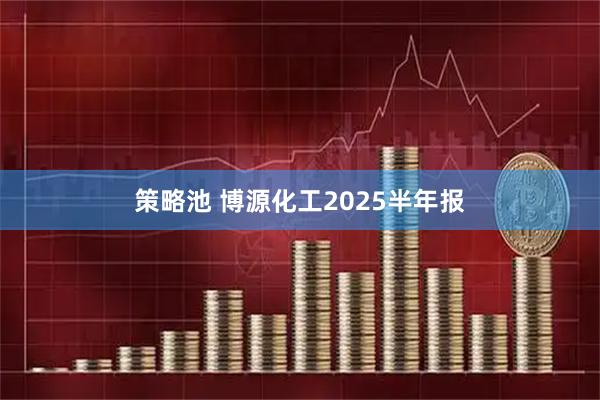 策略池 博源化工2025半年报